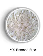 basmati